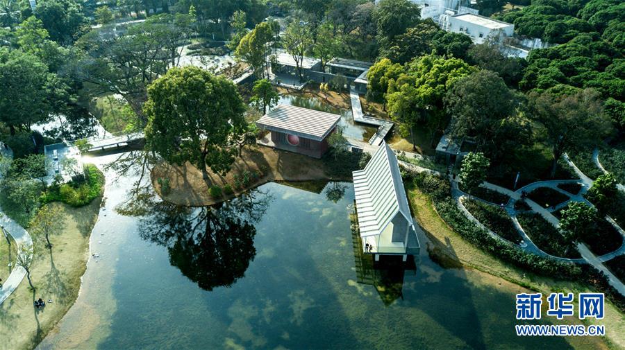 (新華全媒頭條·圖文互動)(5)敢為人先開新路——深圳全面開啟“先行示范區(qū)”建設進程