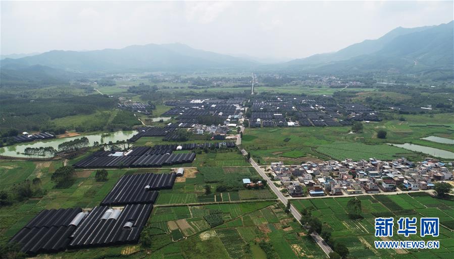 （在習(xí)近平新時(shí)代中國(guó)特色社會(huì)主義思想指引下&mdash;&mdash;新時(shí)代新作為新篇章&middot;總書記關(guān)心的百姓身邊事&middot;圖文互動(dòng)）（1）&ldquo;科技秀才&rdquo;給田野帶來(lái)新希望