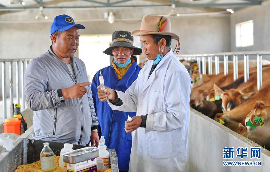 （新華全媒頭條&middot;決戰決勝脫貧攻堅&middot;圖文互動）（4）歷史的決戰　偉大的創舉&mdash;&mdash;&ldquo;世界屋脊&rdquo;上的反貧困奇跡 