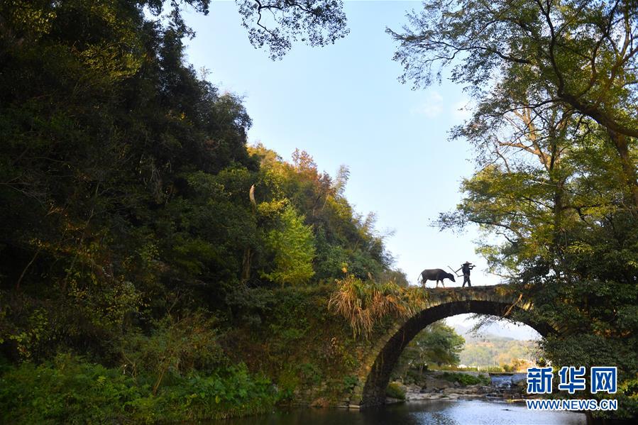 (圖文互動)(3)鄉村攝影師、鄉村“模特”、民宿店主——鄉村旅游推動婺源農民生活方式發生新變化