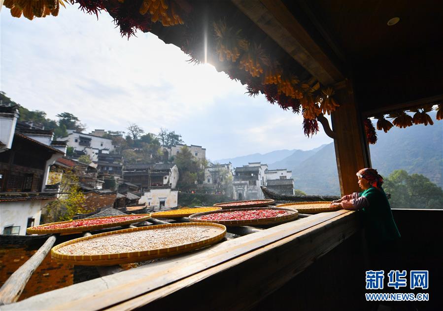 (圖文互動)(5)鄉村攝影師、鄉村“模特”、民宿店主——鄉村旅游推動婺源農民生活方式發生新變化