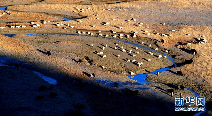 （新華全媒頭條&middot;圖文互動）（15）格?；ㄩ_滿天路&mdash;&mdash;寫在川藏公路通車65周年之際