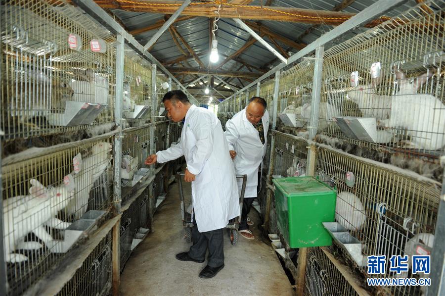 （新華全媒頭條&middot;圖文互動）（4）干部去哪兒了？&mdash;&mdash;貴州干部大規模下沉脫貧攻堅一線紀實