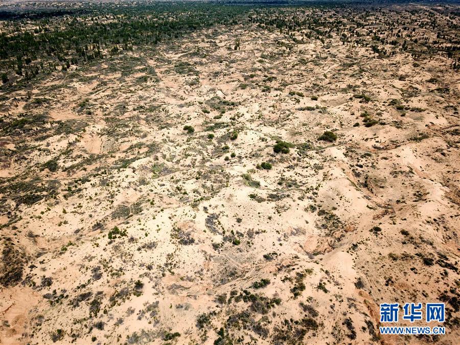 （圖文互動）（2）陜西榆林毀林建光伏電站追蹤：還有哪些疑團有待破解？ 