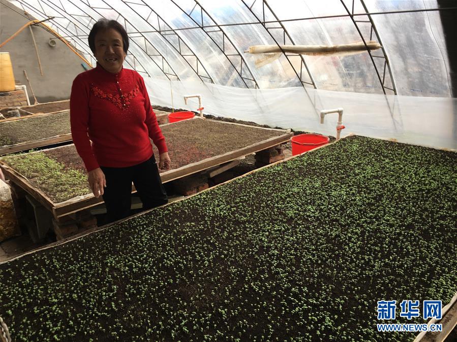 （脫貧攻堅(jiān)&middot;圖文互動(dòng)）（1）中國東極故事之三：&ldquo;花匠&rdquo;姜連玉的&ldquo;重生&rdquo;路