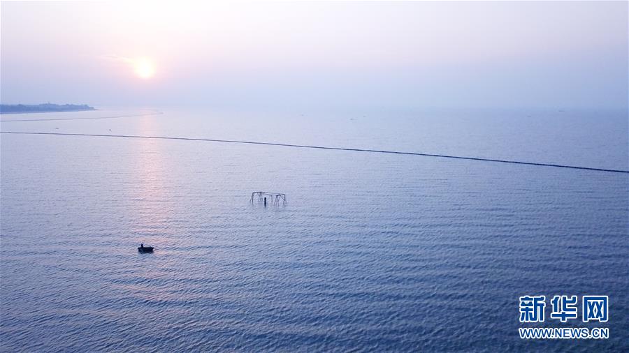 （新華全媒頭條&middot;圖文互動(dòng)）（2）大湖見(jiàn)證&mdash;&mdash;長(zhǎng)三角三大淡水湖綠色發(fā)展之路