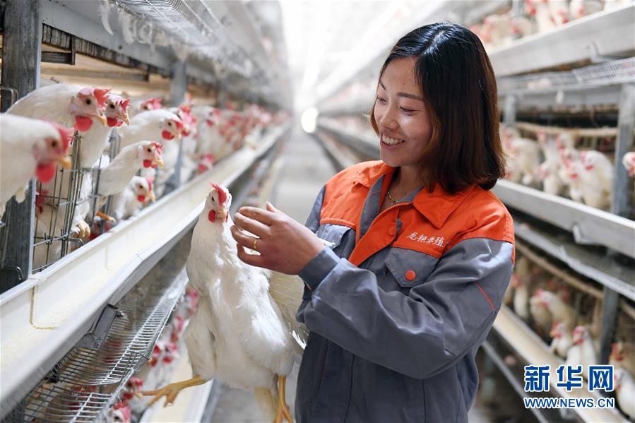 (新華全媒頭條·兩會特別報道·圖文互動)(6)在推進高質量發展中創造廣闊空間——從全國兩會看奮進中國的發展機遇