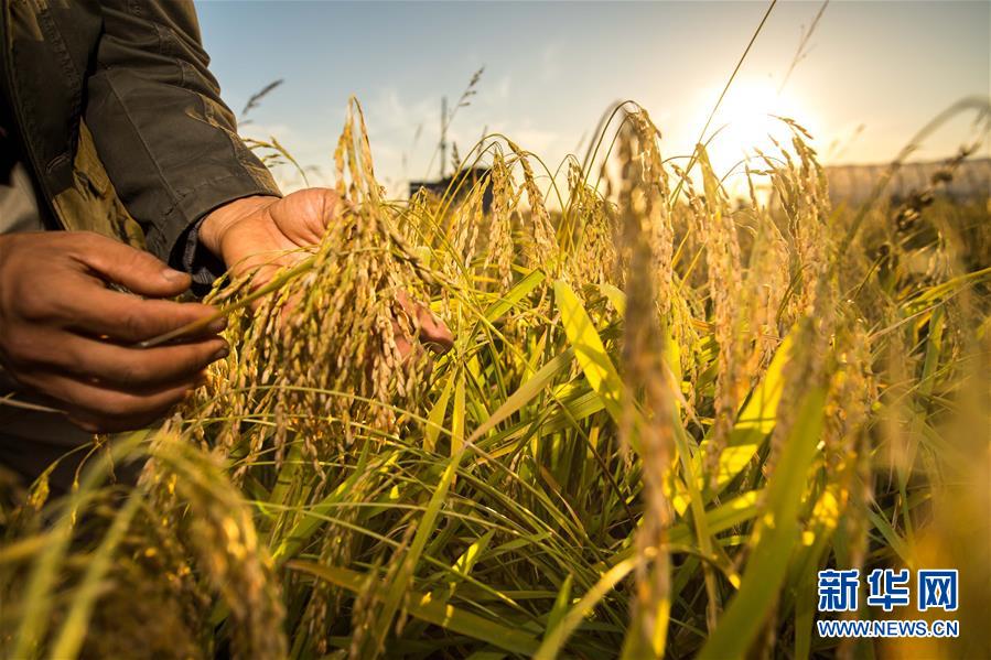 （新華全媒頭條&middot;圖文互動）（5）上下同心再出發&mdash;&mdash;習近平總書記同出席2019年全國兩會人大代表、政協委員共商國是紀實