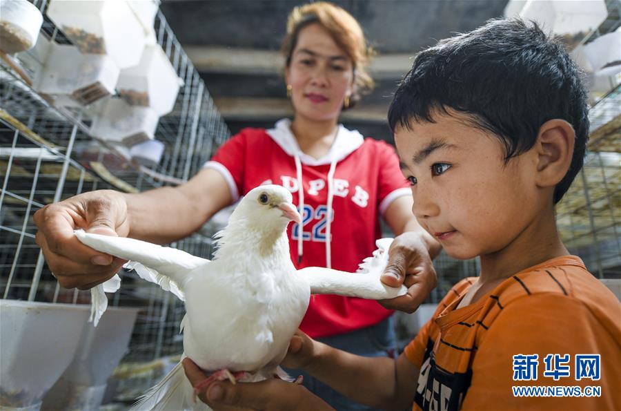 （新華全媒頭條&middot;聚焦中國經(jīng)濟(jì)成績單&middot;圖文互動(dòng)）（10）為全面建成小康社會(huì)奠定堅(jiān)實(shí)基礎(chǔ)&mdash;&mdash;從2019年數(shù)據(jù)看中國經(jīng)濟(jì)發(fā)展大勢