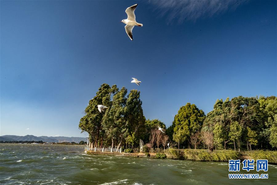 （圖文互動）（7）跨越發展起宏圖 信心滿懷著華章&mdash;&mdash;習近平總書記考察云南回訪記