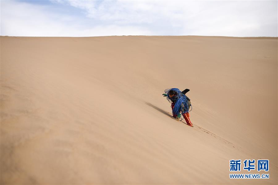 (新春走基層·圖文互動)(3)寒冬里,“沙漠玫瑰”猶自綻放