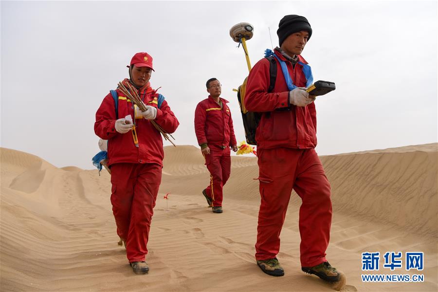 (新春走基層·圖文互動)(14)寒冬里,“沙漠玫瑰”猶自綻放