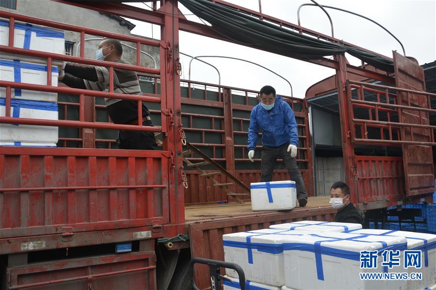 （做好六穩(wěn)工作 應對復雜局面&middot;圖文互動）（3）穩(wěn)住&ldquo;菜籃子&rdquo; 守住&ldquo;好日子&rdquo;