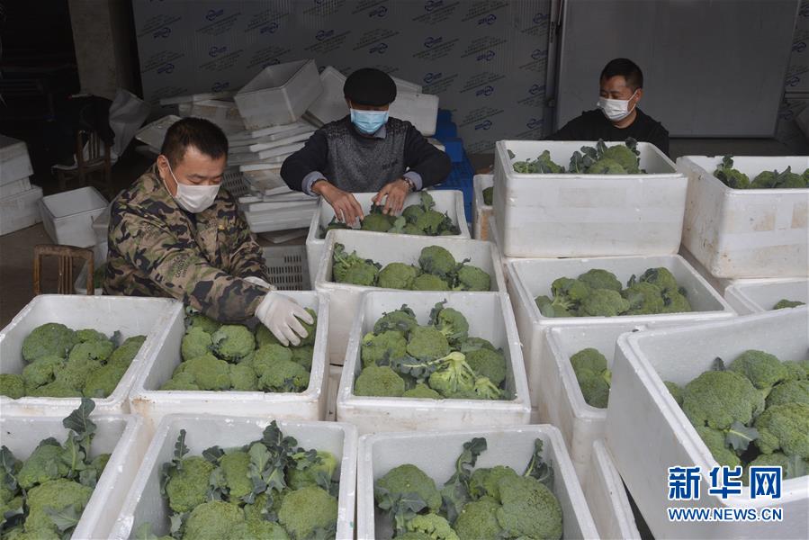 （做好六穩(wěn)工作 應對復雜局面&middot;圖文互動）（2）穩(wěn)住&ldquo;菜籃子&rdquo; 守住&ldquo;好日子&rdquo;