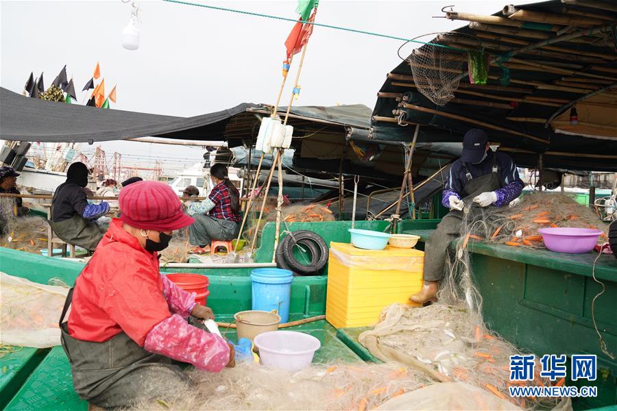 （圖文互動）（2）與疫情抗爭 與春光同行&mdash;&mdash;廣西農村春耕備耕一線觀察