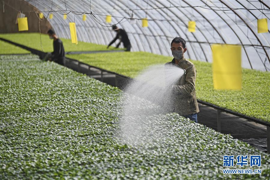 （新華全媒頭條&middot;圖文互動）（12）磨難壓不垮 奮起正當時&mdash;&mdash;習近平總書記在統籌推進新冠肺炎疫情防控和經濟社會發展工作部署會議上的重要講話振奮人心凝聚力量