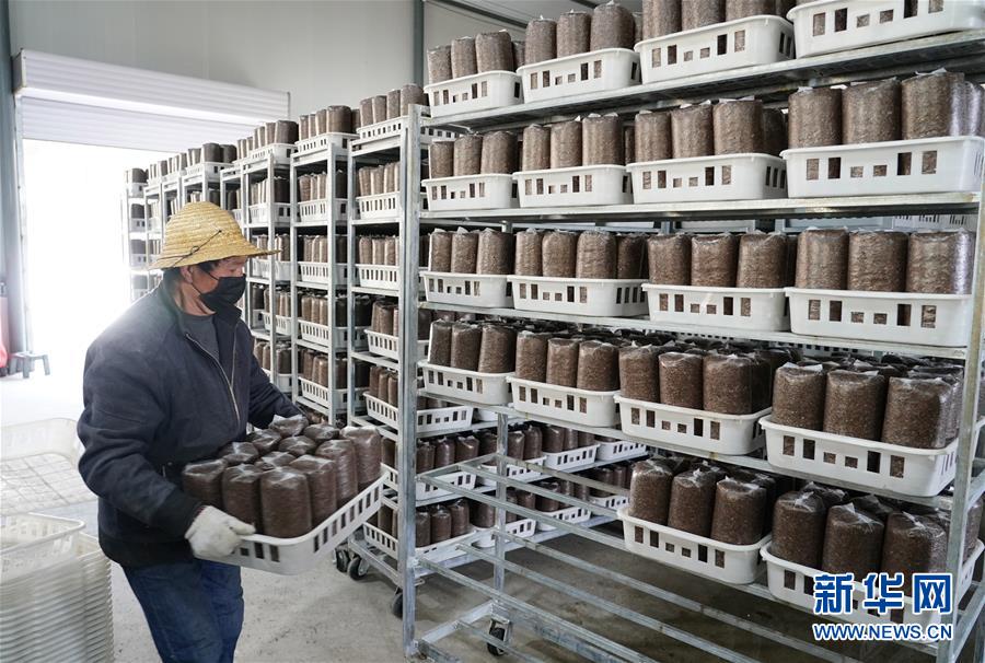 （決戰決勝脫貧攻堅&middot;圖文互動）（1）秦巴山區：戰疫戰貧，兩場仗都要打贏