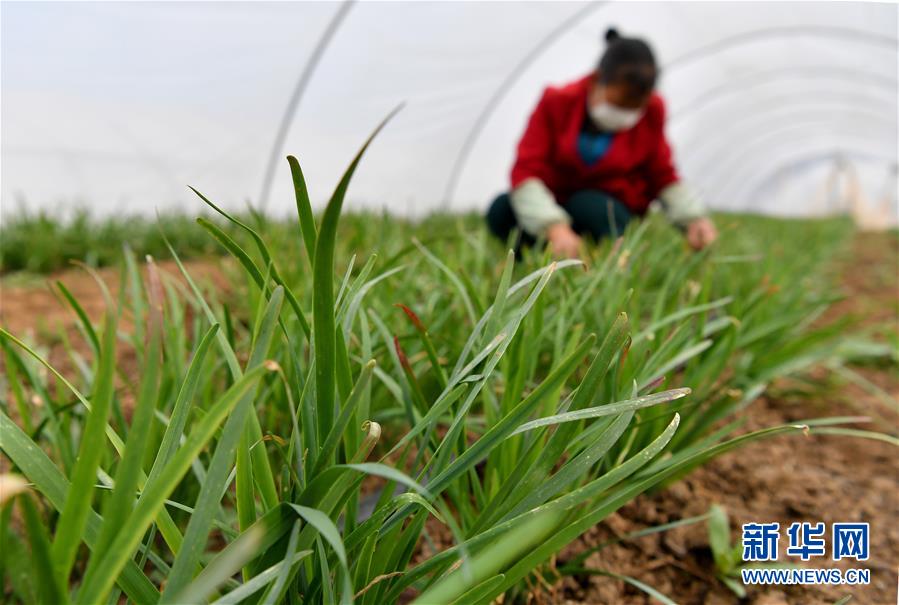 （圖文互動）（3）&ldquo;春天到了，熟悉的生活正在慢慢回來&rdquo;&mdash;&mdash;陜西多地復產復工一線見聞
