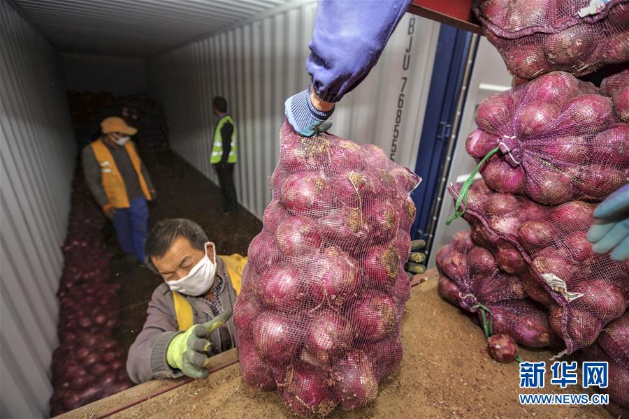 （圖文互動(dòng)）（6）青青園中葵 朝露待日晞&mdash;&mdash;云南組織蔬菜等農(nóng)產(chǎn)品支援湖北記略