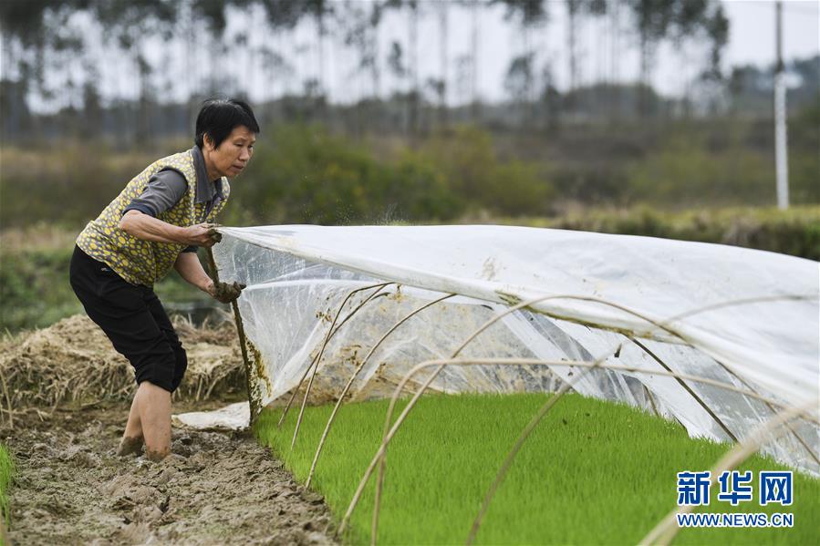 （圖文互動(dòng)）（2）&ldquo;早一天復(fù)工，損失就少一點(diǎn)&rdquo;&mdash;&mdash;廣西以精準(zhǔn)防控推動(dòng)復(fù)工復(fù)產(chǎn)一線見(jiàn)聞
