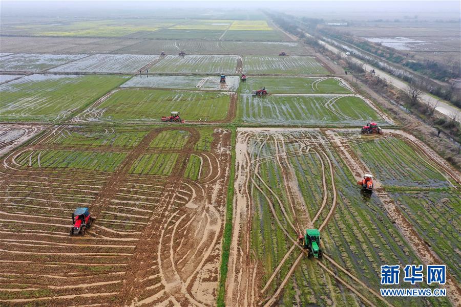 (抓好春耕備耕 穩住農業生產·圖文互動)(2)智能農機、“訂單”服務、“云端”種菜——來自江西的春耕“新事”