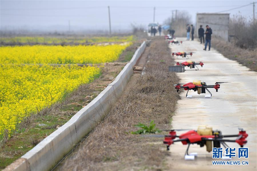 (抓好春耕備耕 穩住農業生產·圖文互動)(4)智能農機、“訂單”服務、“云端”種菜——來自江西的春耕“新事”