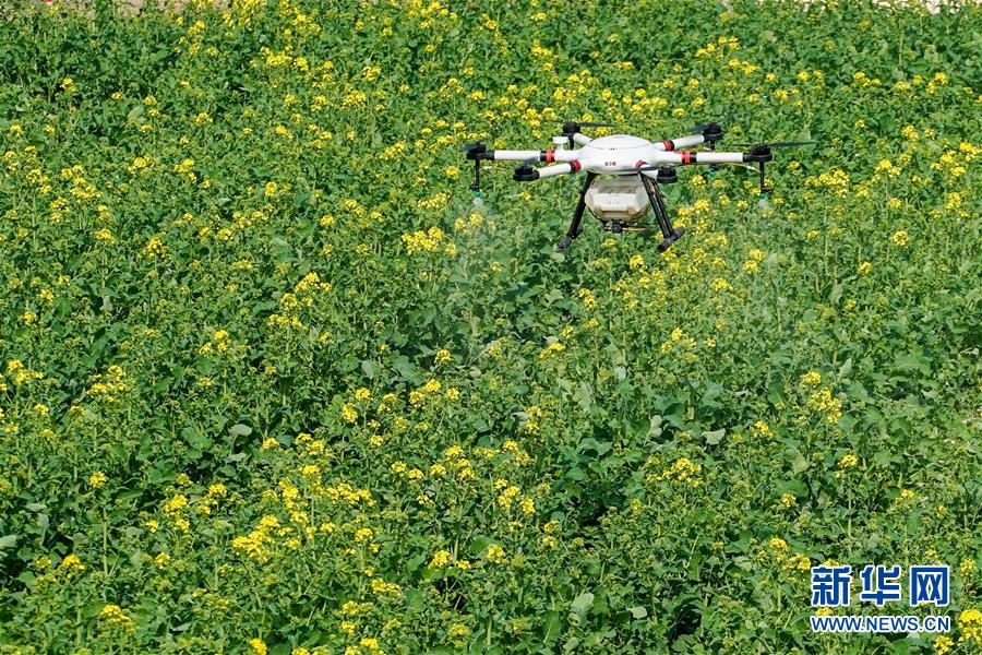 （在習近平新時代中國特色社會主義思想指引下&mdash;&mdash;新時代新作為新篇章&middot;習近平總書記關切事&middot;圖文互動）（17）精準發力抓統籌&mdash;&mdash;各地落實&ldquo;分區分級&rdquo;有序恢復生產生活