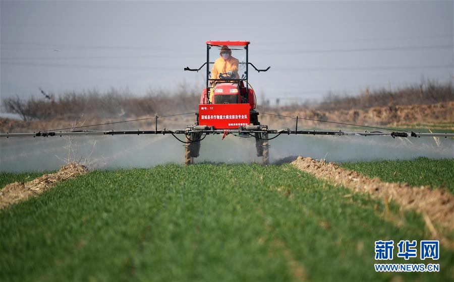 (新華全媒頭條·圖文互動)(9)春色最濃在田間——來自全國春耕備耕的現(xiàn)場觀察