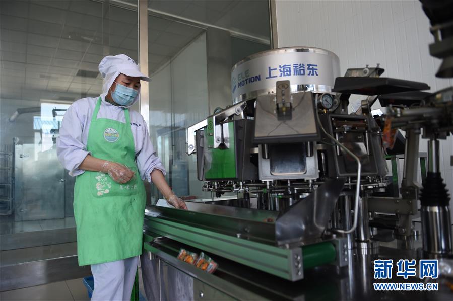 （在習近平新時代中國特色社會主義思想指引下&mdash;&mdash;新時代新作為新篇章&middot;習近平總書記關切事&middot;圖文互動）（8）穩住千家萬戶的&ldquo;飯碗&rdquo;&mdash;&mdash;各地積極穩就業化解疫情影響