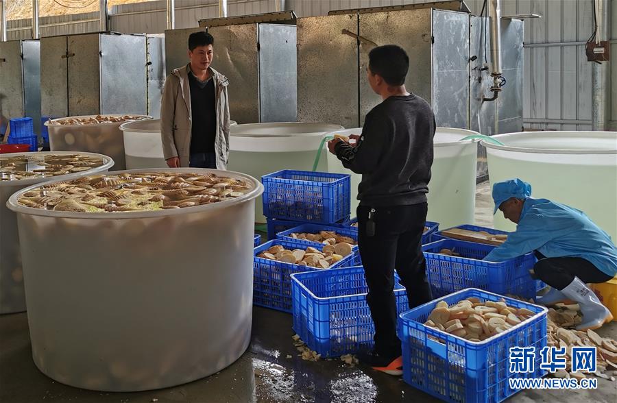 （決戰(zhàn)決勝脫貧攻堅&middot;圖文互動）掛牌督戰(zhàn)，一個都不能少&mdash;&mdash;江西確保剩余9.6萬貧困人口全部脫貧