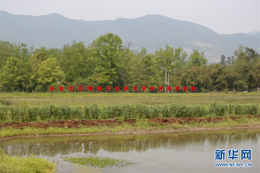 （圖文互動）（2）疏通產業鏈堵點 保障&ldquo;菜籃子&rdquo;供應&mdash;&mdash;重慶養殖大區力促養殖業補損復產