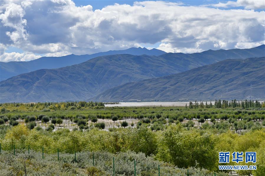 （圖文互動）（4）&ldquo;今天的生活，就像夢里夢到那樣甜&rdquo;&mdash;&mdash;寫在西藏百萬農奴解放61周年之際