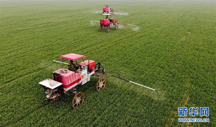 （新華全媒頭條&middot;圖文互動）（3）春天，匯聚復(fù)蘇的力量&mdash;&mdash;寫在2020年首季中國經(jīng)濟收官之際