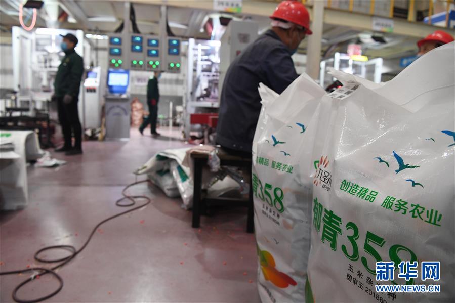 （抓好春耕備耕 穩住農業生產&middot;圖文互動）（5）走向泥土是我們的終極夢想&mdash;&mdash;一粒種子的自述