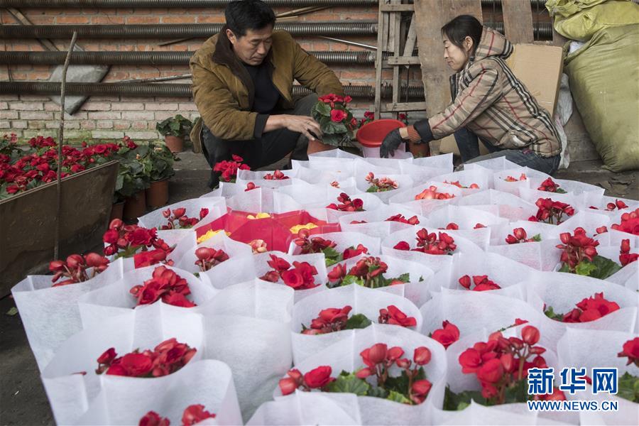 （在習近平新時代中國特色社會主義思想指引下&mdash;&mdash;新時代新作為新篇章&middot;習近平總書記關切事&middot;圖文互動）（1）希望的田野，希望的春天&mdash;&mdash;各地農業生產新動態掃描