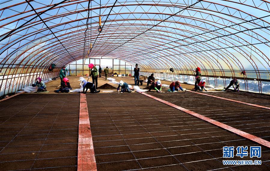 （在習近平新時代中國特色社會主義思想指引下&mdash;&mdash;新時代新作為新篇章&middot;習近平總書記關切事&middot;圖文互動）（5）希望的田野，希望的春天&mdash;&mdash;各地農業生產新動態掃描