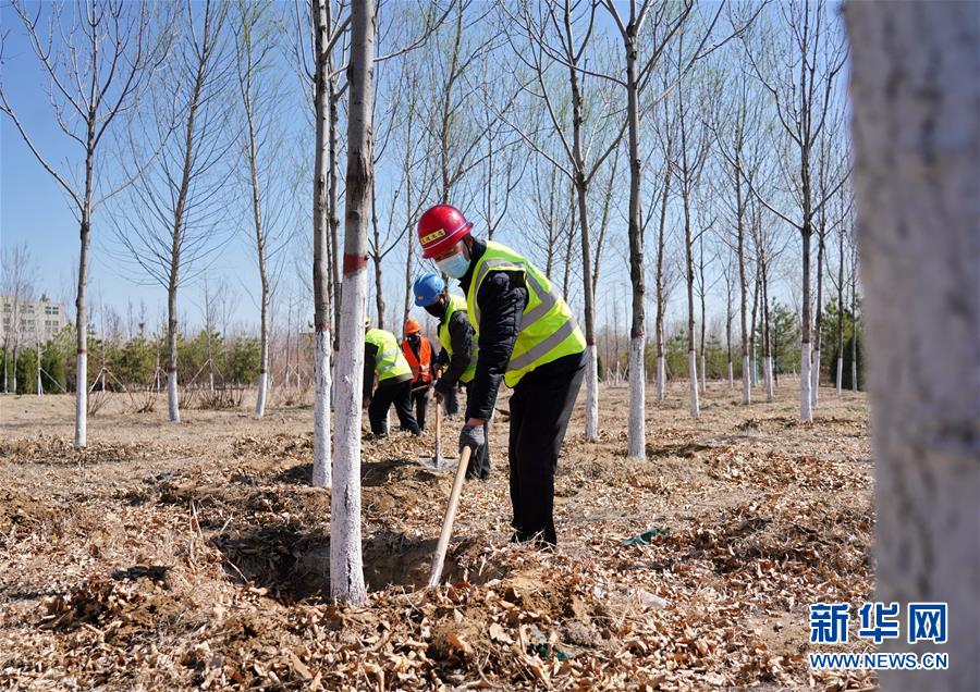 （新華全媒頭條&middot;圖文互動(dòng)）（8）雄安畫卷徐徐鋪展　&ldquo;未來(lái)之城&rdquo;蓄勢(shì)待發(fā)&mdash;&mdash;雄安新區(qū)設(shè)立三周年巡禮