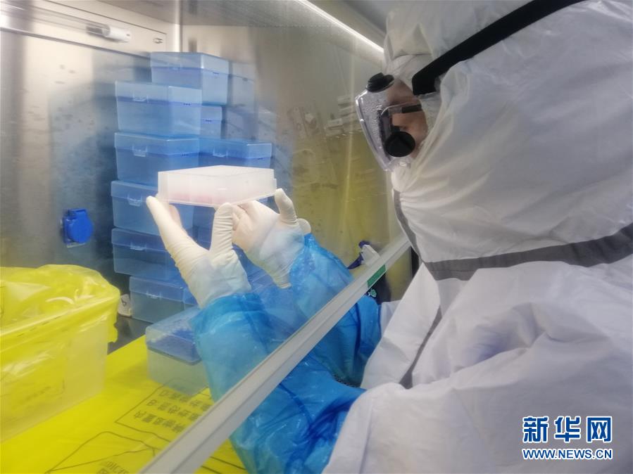 （一線抗疫群英譜&middot;圖文互動）（2）&ldquo;95后&rdquo;大學生郝鶯歌：退掉車票，她選擇直面病毒