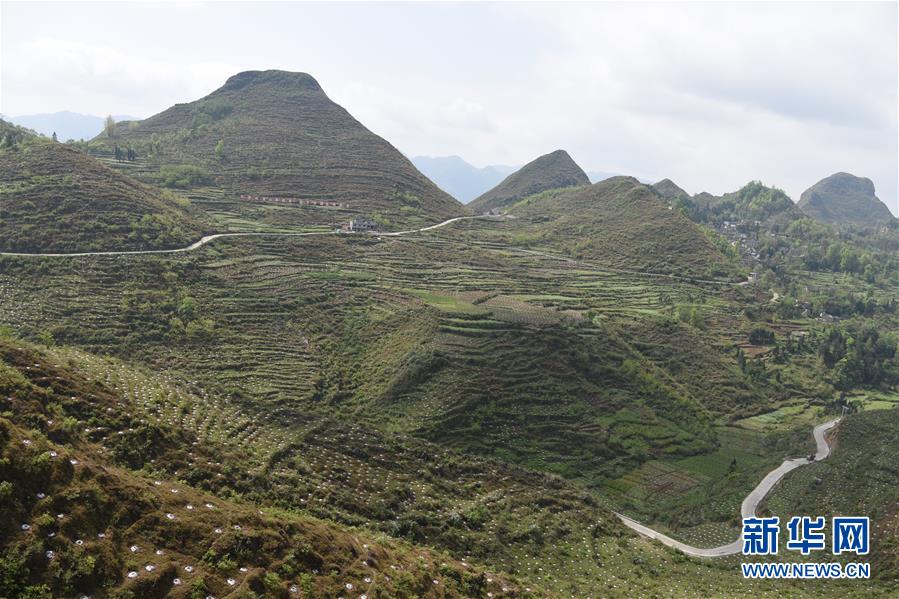 （決戰決勝脫貧攻堅&middot;圖文互動）（1）逐項逐戶排查補齊脫貧攻堅&ldquo;短板&rdquo;&mdash;&mdash;貴州晴隆縣扶貧一線工作見聞 