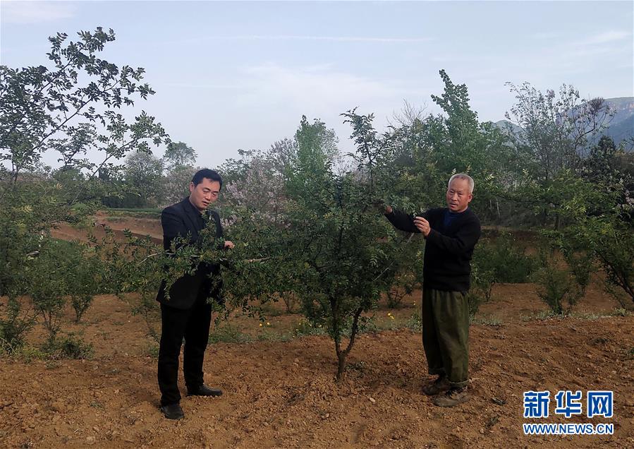 （新華全媒頭條&middot;圖文互動）（6）春天里的5個&ldquo;戰貧&rdquo;瞬間&mdash;&mdash;習近平總書記關于脫貧攻堅決策部署指引攻克最后的深貧堡壘