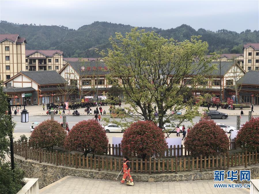 （圖文互動(dòng)）（1）柏楊林的&ldquo;樣板間&rdquo;