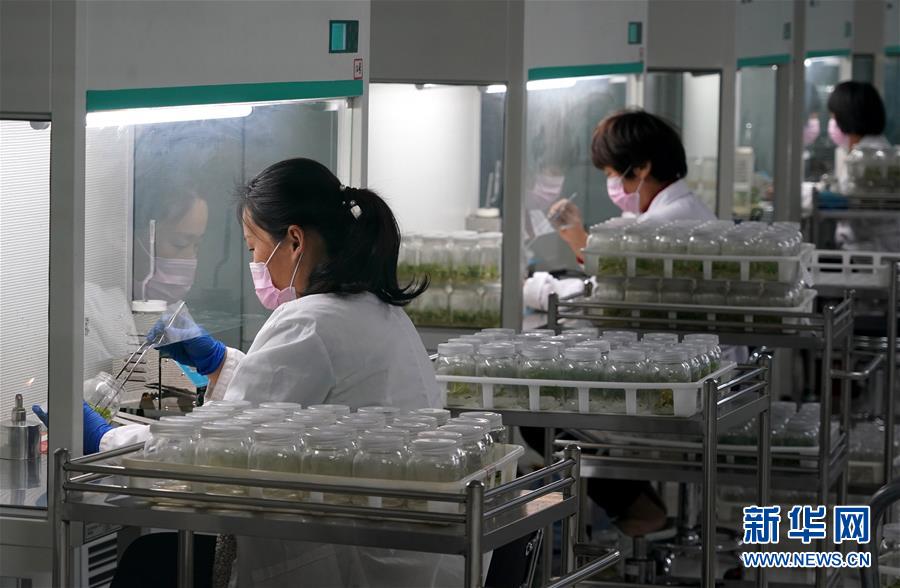 （來自一線的調查報告&middot;圖文互動）（6）搶出一個身位謀發展&mdash;&mdash;河南許昌經濟復蘇見聞