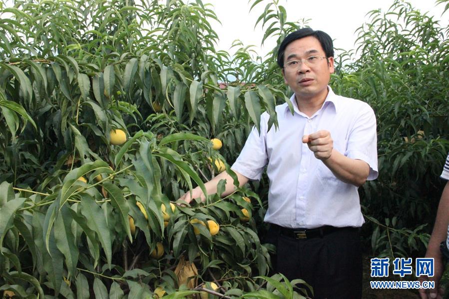 （圖文互動(dòng)）（2）&ldquo;為脫貧而來，為脫貧而去&rdquo;&mdash;&mdash;追記湖南炎陵縣委原書記黃詩燕 