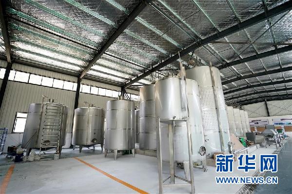 （決戰(zhàn)決勝脫貧攻堅(jiān)&middot;圖文互動）（5）西藏昌都&ldquo;甜蜜&rdquo;產(chǎn)業(yè)助脫貧