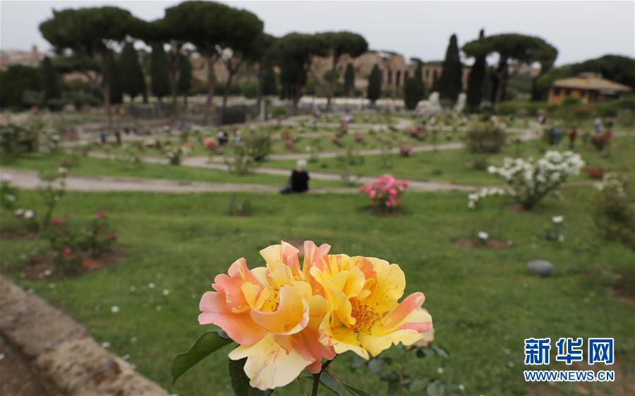 （國際疫情）（7）意大利將于6月初開放與申根區國家間人員流動