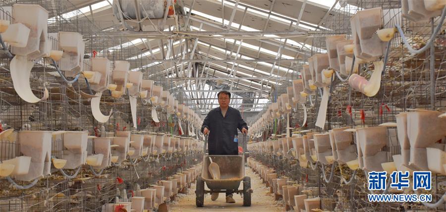 （新華全媒頭條&middot;兩會精神看落實&middot;圖文互動）（1）努力讓群眾看到變化得到實惠&mdash;&mdash;落實全國兩會精神持續保障和改善民生述評