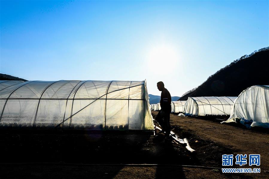 (決戰決勝脫貧攻堅·圖文互動)(10)長白山下唱新篇——吉林延邊州脫貧攻堅觀察