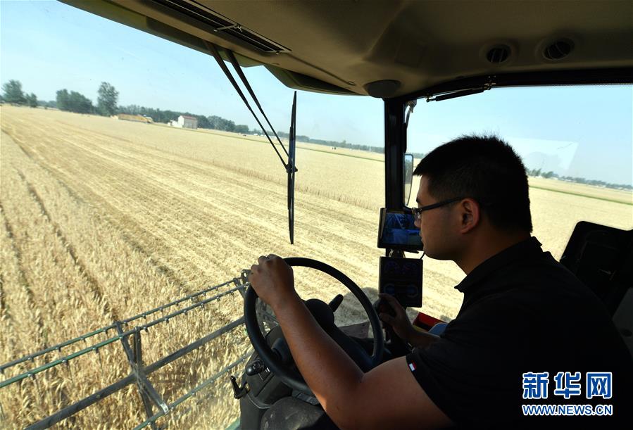 （關注三夏&middot;圖文互動）（2）麥田&ldquo;后浪&rdquo;的農事新說