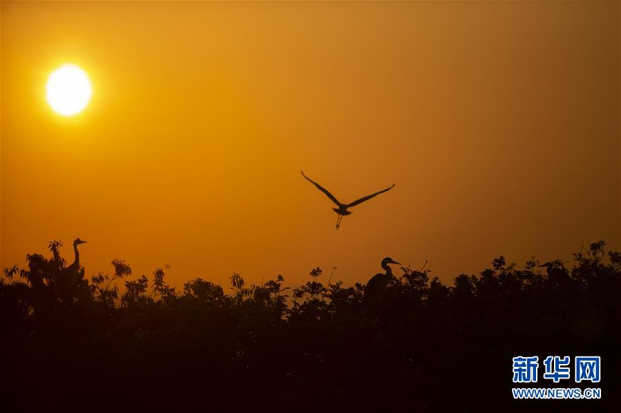（新華全媒頭條&middot;圖文互動）（1）大湖新歌&mdash;&mdash;我國兩大淡水湖全面生態修復進行時