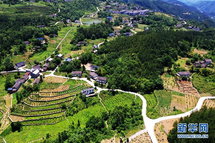 （新華全媒頭條&middot;圖文互動）（11）待到滿山紅葉時&mdash;&mdash;三峽重慶庫區踐行新發展理念面面觀